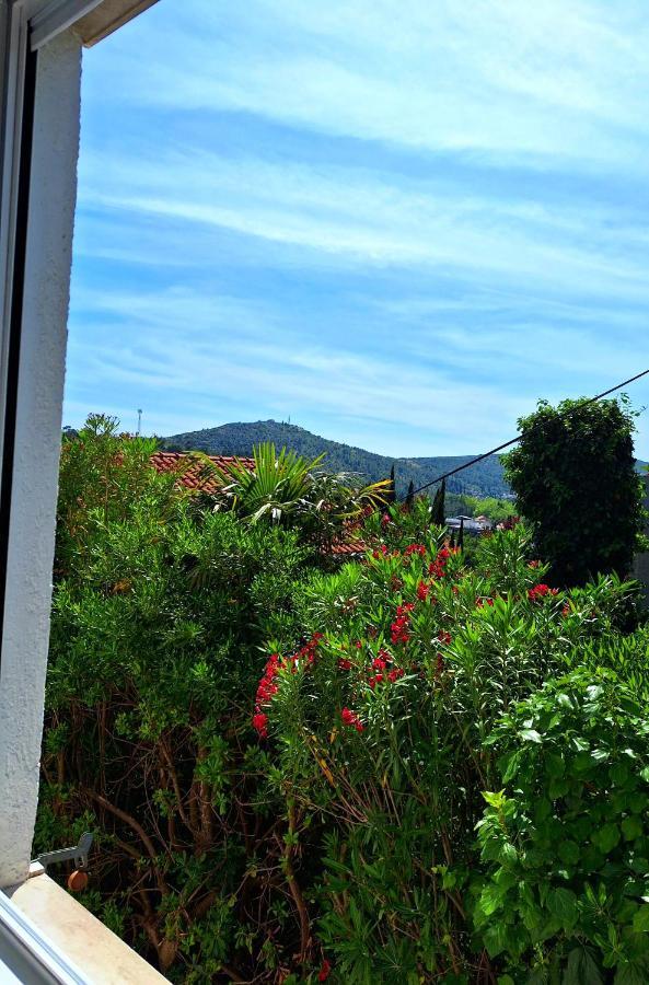 Apartment Ivy Mlini Dış mekan fotoğraf